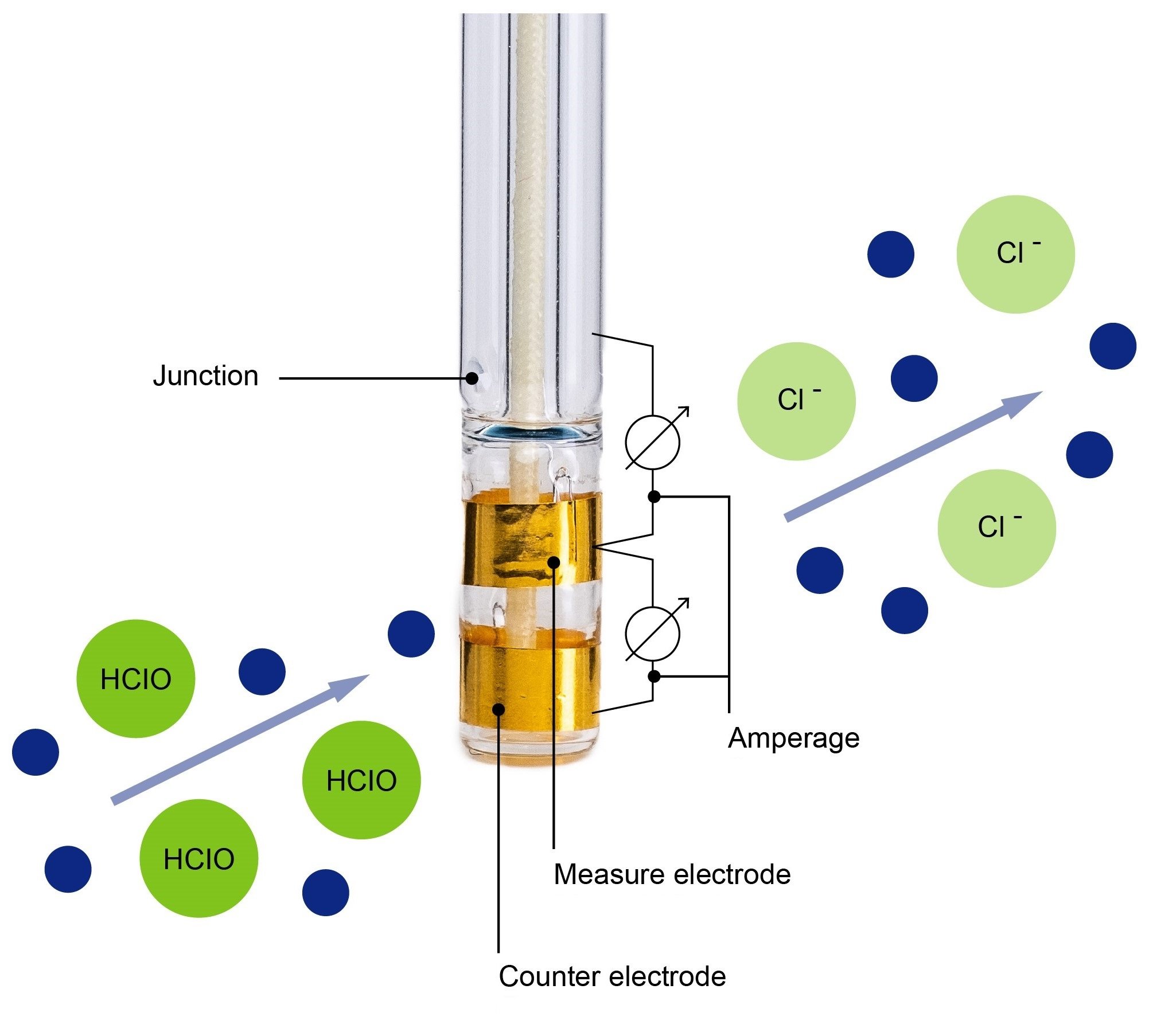 Disinfection measurement by Kuntze - English